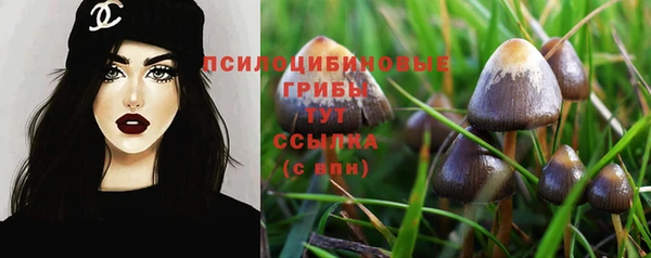 эйфоретик Осташков