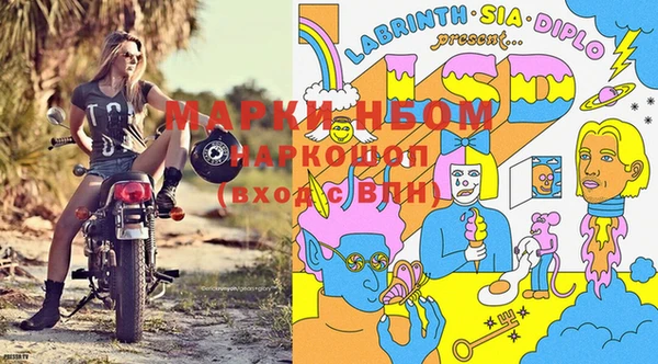 spice Белая Холуница