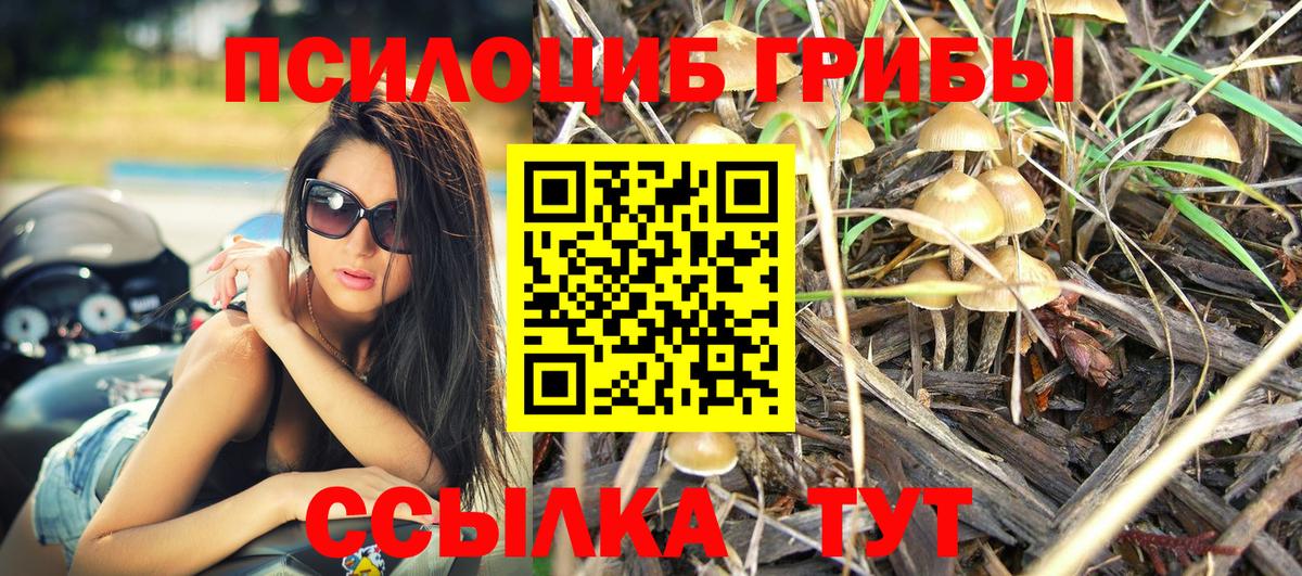 Галлюциногенные грибы Magic Shrooms  Вход с VPN  Псилоцибиновые грибы Magic Shrooms  Обнинск 