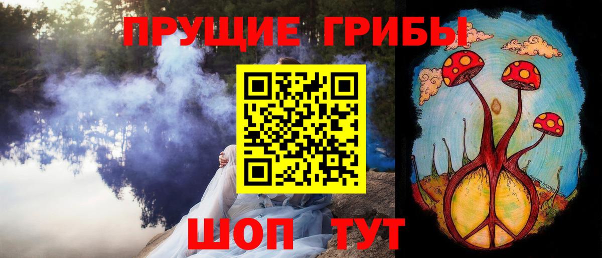 Галлюциногенные грибы Psilocybe Обнинск